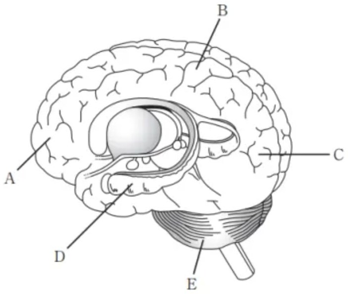 この問題の図