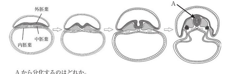 この問題の図