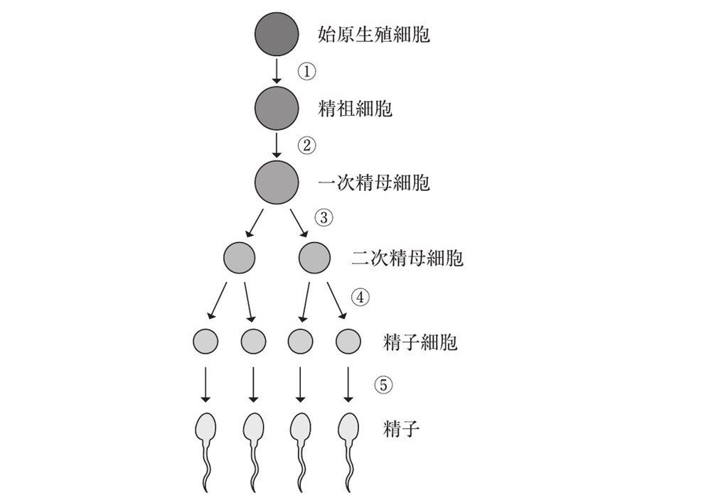 この問題の図