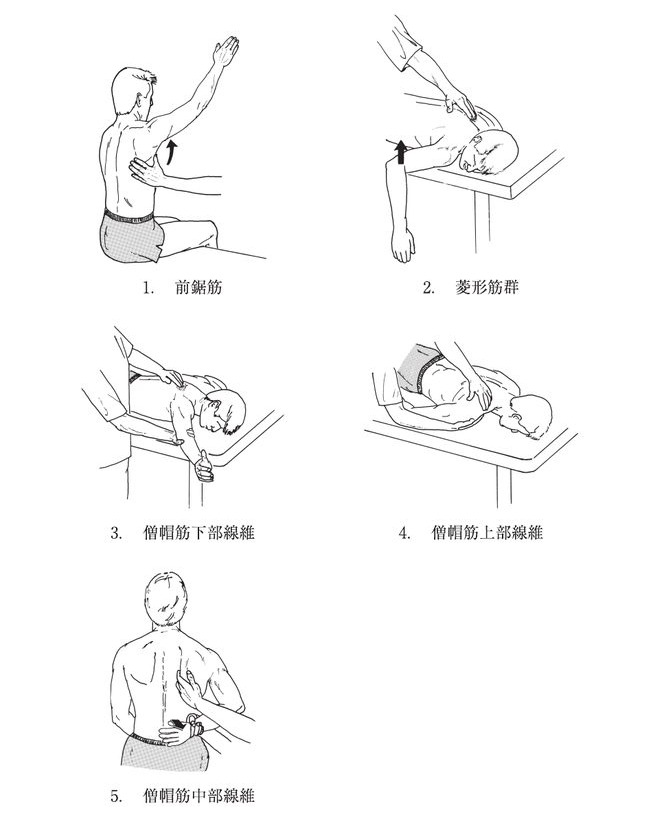 この問題の図