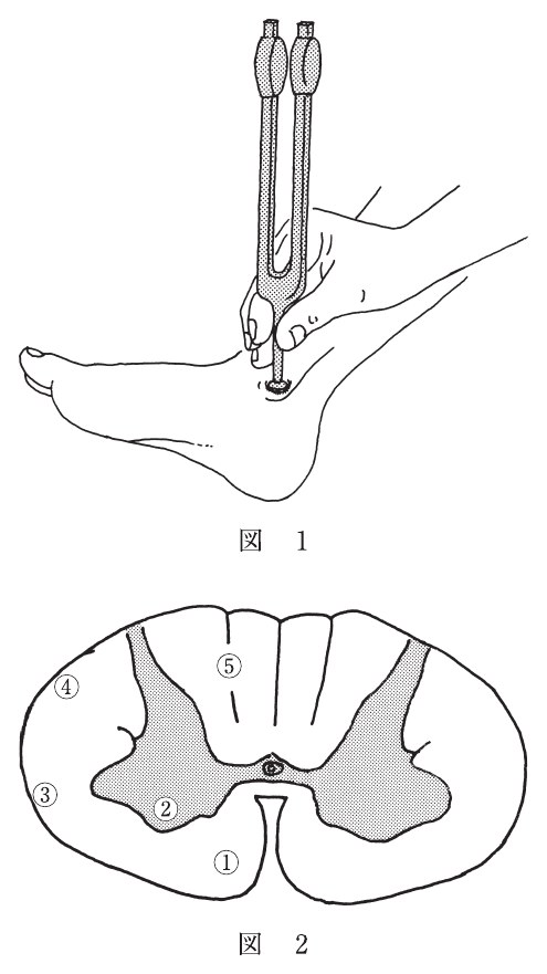 この問題の図