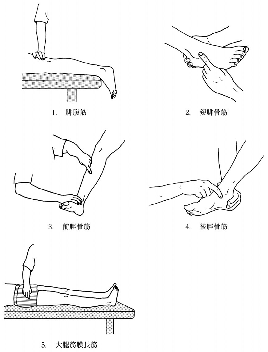 この問題の図