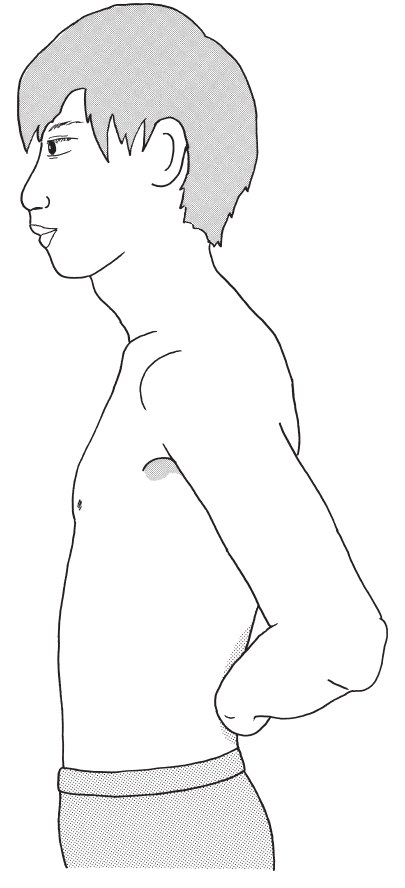 この問題の図