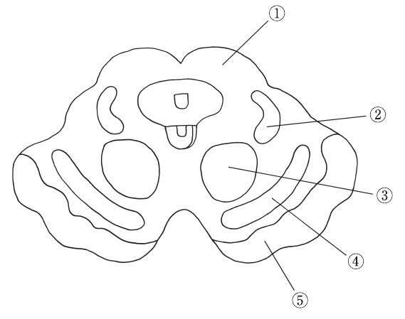 この問題の図