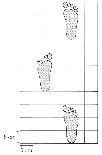 この問題の図