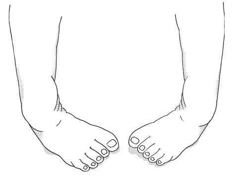 この問題の図
