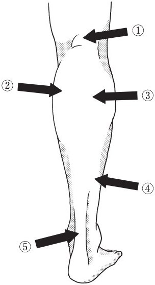 この問題の図