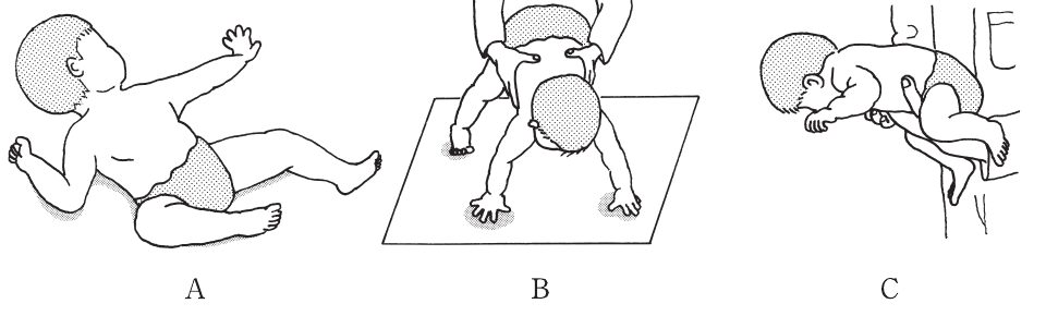 この問題の図