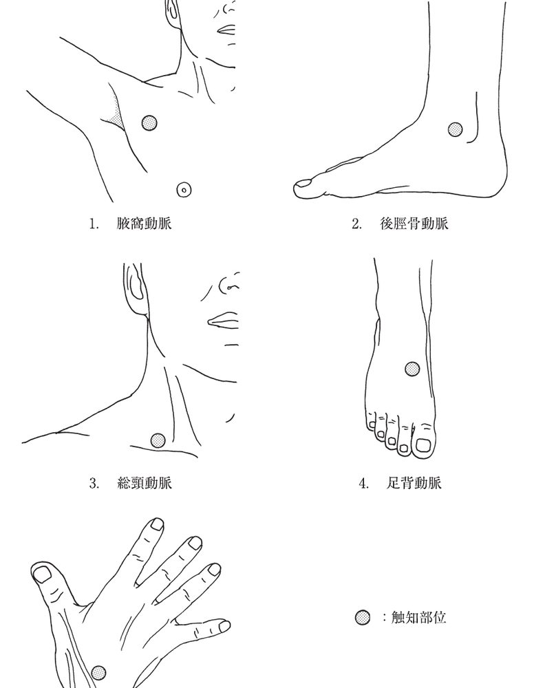 この問題の図