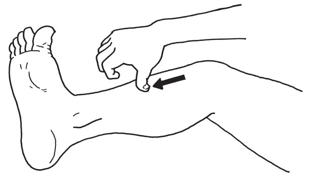 この問題の図