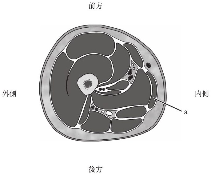この問題の図