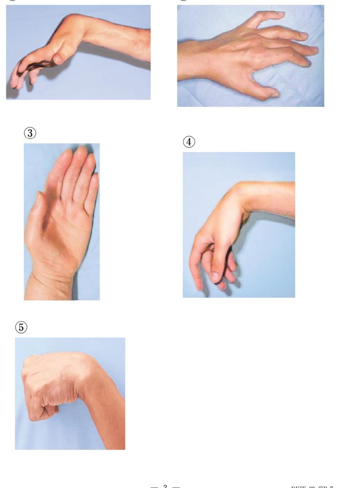 この問題の図