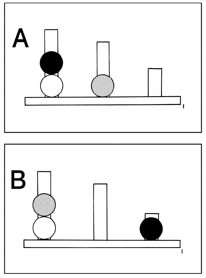 この問題の図