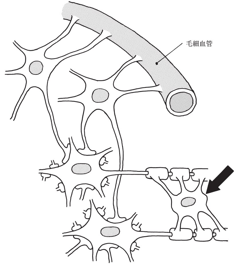 この問題の図
