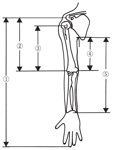 この問題の図