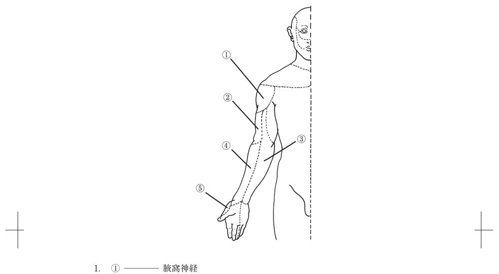 この問題の図