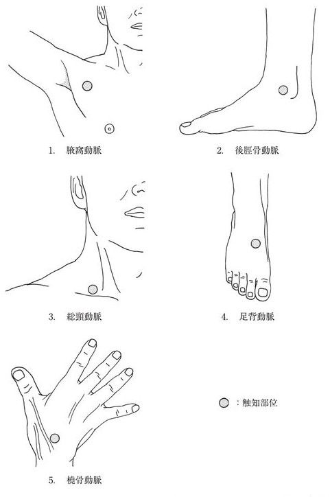この問題の図