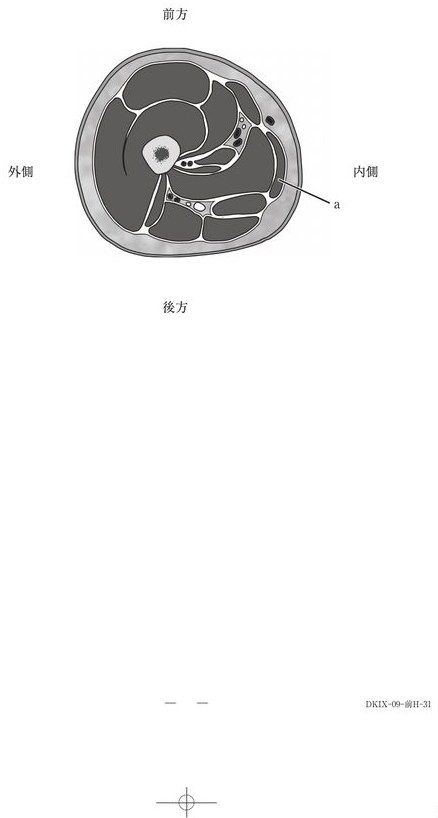 この問題の図